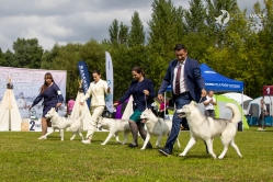 V Klubowa Choroszcz 21.08.2026